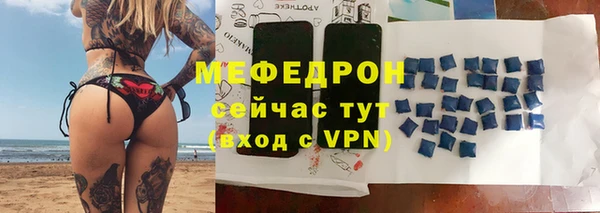 амф Гусев