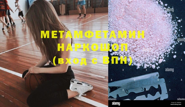 амф Гусев