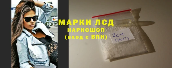 амф Гусев