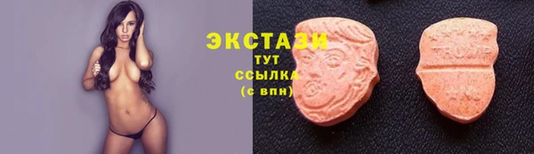 амф Гусев