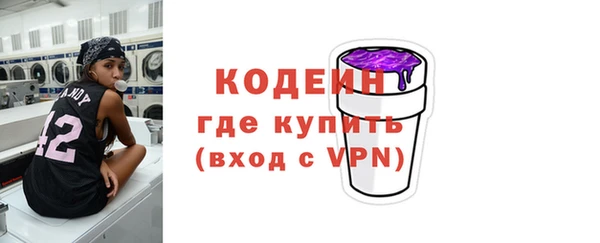 амф Гусев