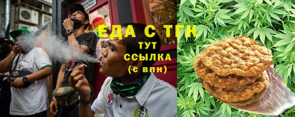 амф Гусев