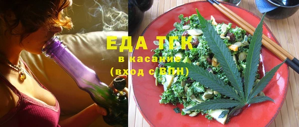 амф Гусев