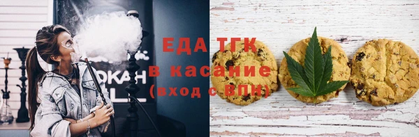 амф Гусев