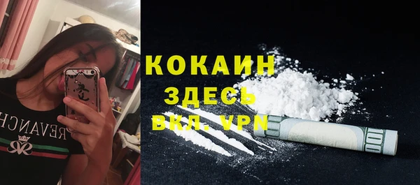 амф Гусев