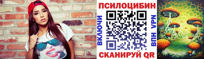 Купить  Кингисепп  Галлюциногенные грибы GOLDEN TEACHER 